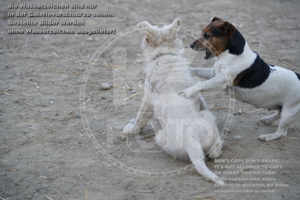 s_K3F01916.jpg
